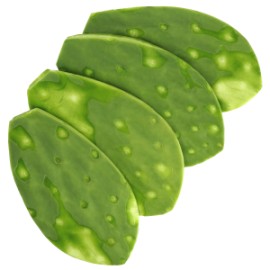 Nopal (Pelado)kg